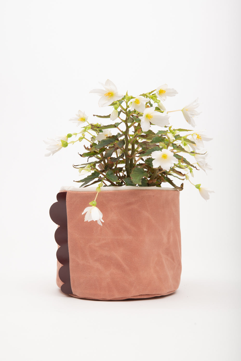 Panier de maison, porte-pot de fleurs, panier de rangement en toile cirée modèle CHARLOTTE