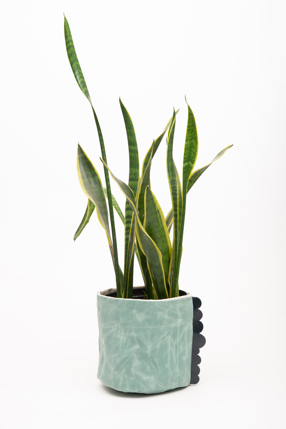 Panier de maison, porte-pot de fleurs, panier de rangement en toile cirée modèle CHARLOTTE