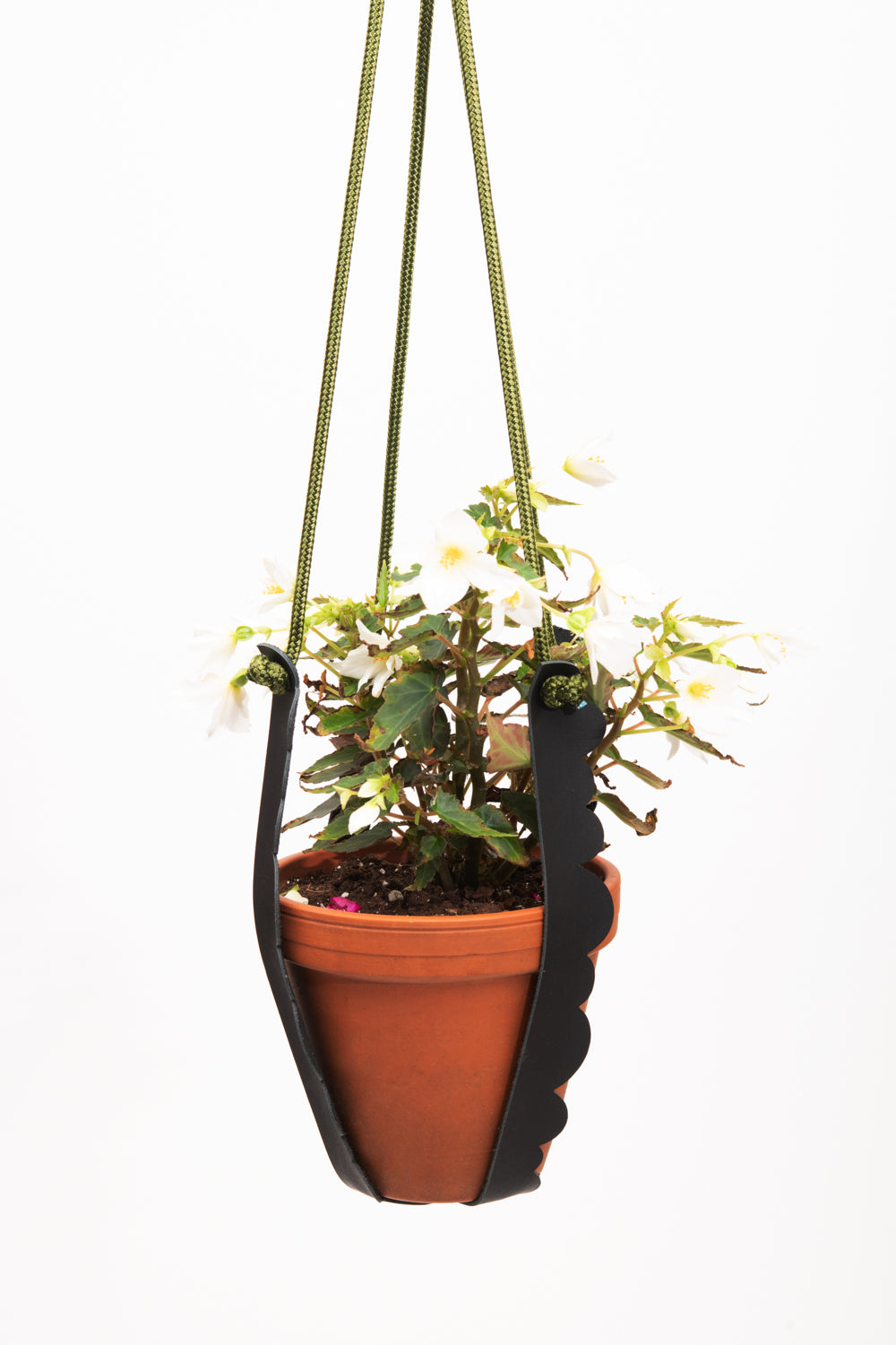 Plant hanger in upcycled leather and rope FRAISIER model