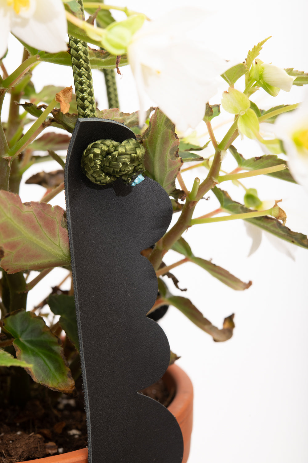 Support à plante en cuir récupéré et corde modèle FRAISIER