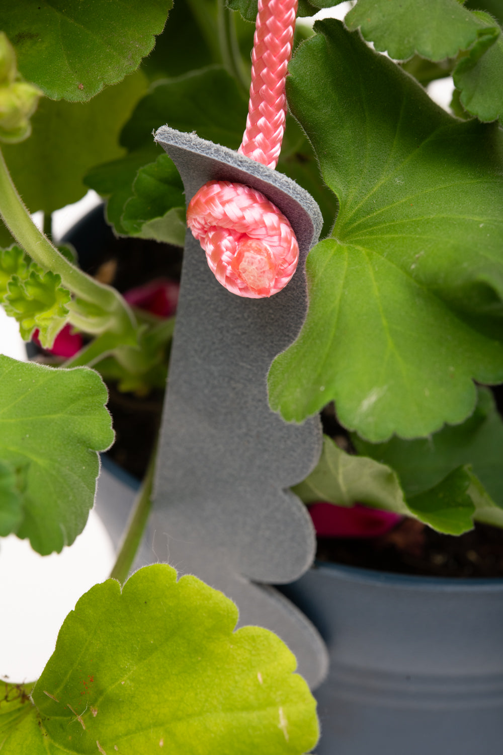 Support à plante en cuir récupéré et corde modèle FRAISIER