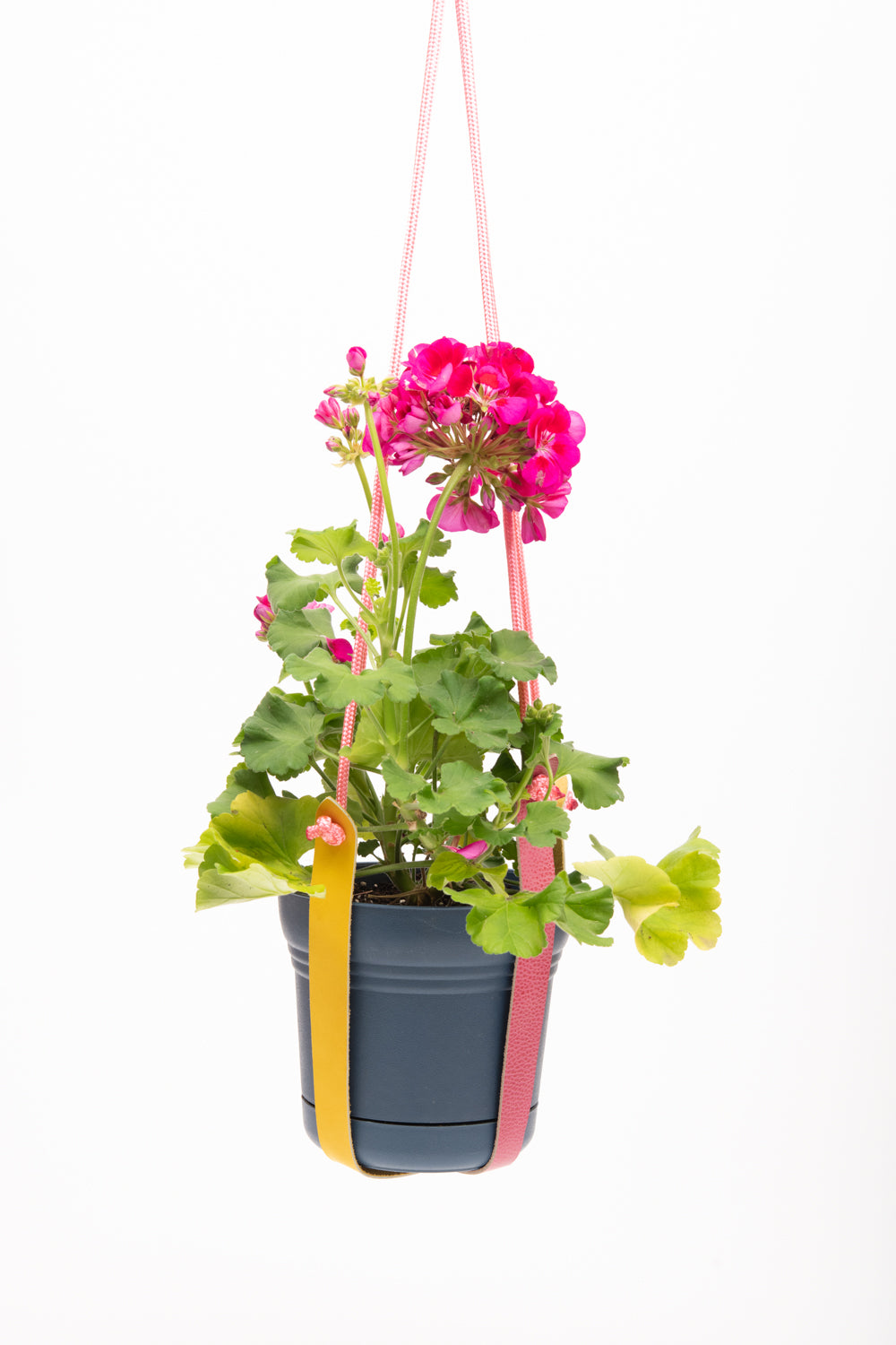 Support à plante en cuir récupéré et corde modèle FRAISIER sur commande spéciale